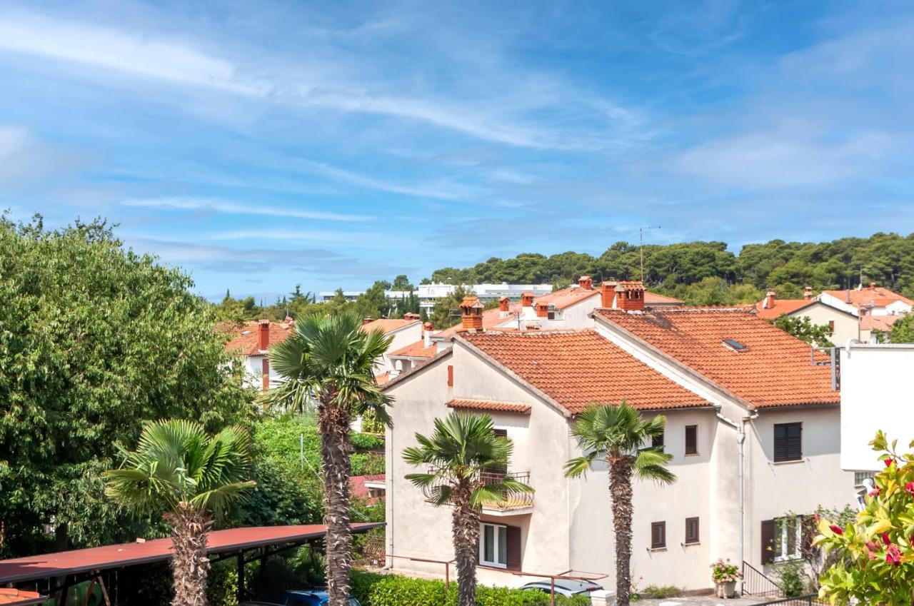 Apartmán Sanja-new Renovated *